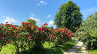 Відбулася всеукраїнська науково-практична конференція, присвячена об’єктам природно-заповідного фонду