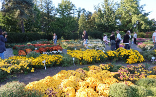 У київському академічному ботсаду провели «Фестиваль пермакультури – 2025»