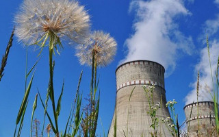 Відбулася дискусійна онлайн-панель «Науковий супровід атомної енергетики – шлях до сталого розвитку України»