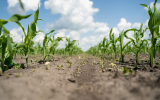 Академік НАН України Віктор Швартау представив дослідження резистентності бур’янів на засіданні Європейського комітету EHRAC