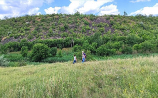 Науковці Академії продовжують моніторити рослинний покрив Криворіжжя